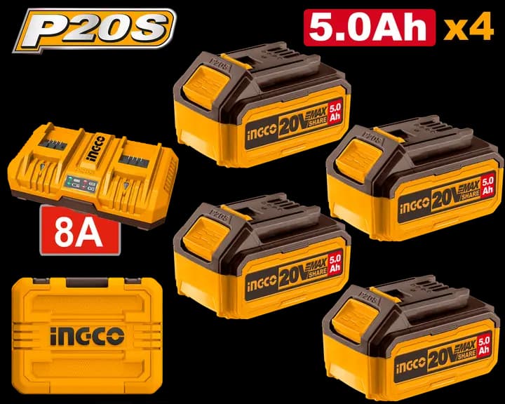 P20S Lithium-Ion battery and charger kit