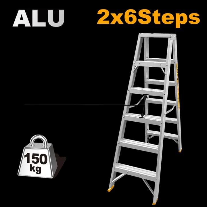 Double side ladder