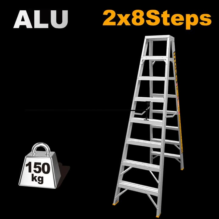 Double side ladder