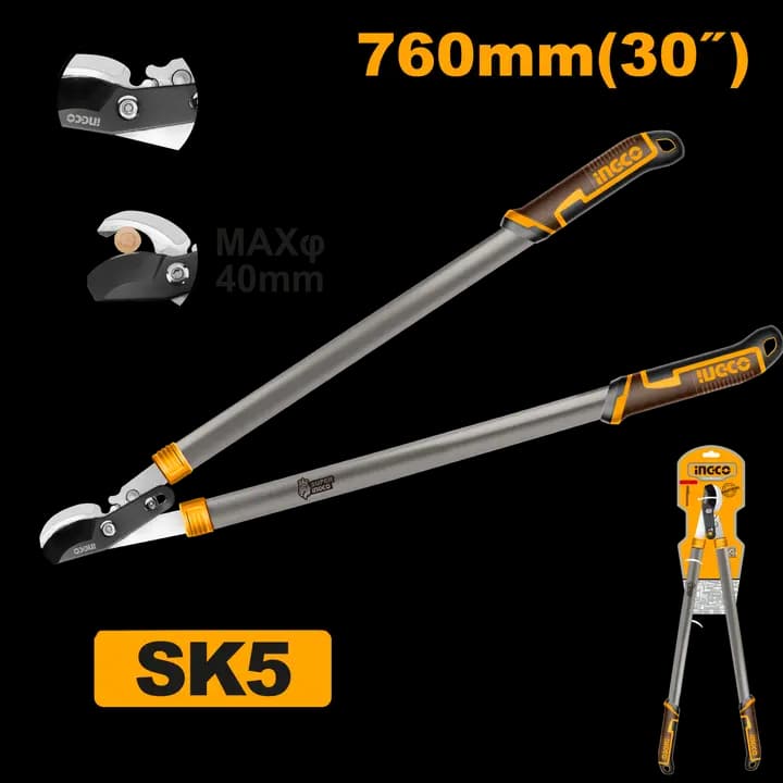 Lopper shears with gear